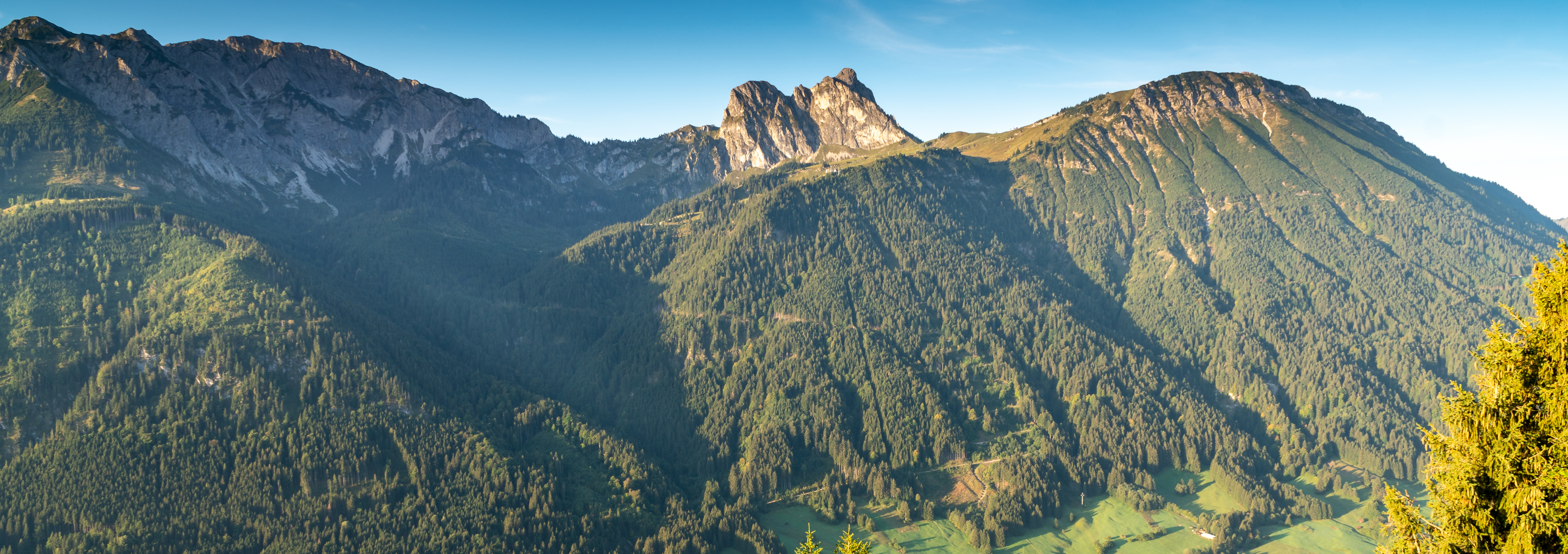 Breitenberg vom Falkenstein aus